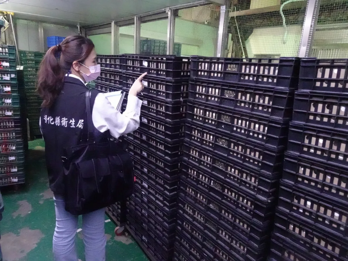 市售雞蛋檢出芬普尼 15萬顆流向9縣市急回收